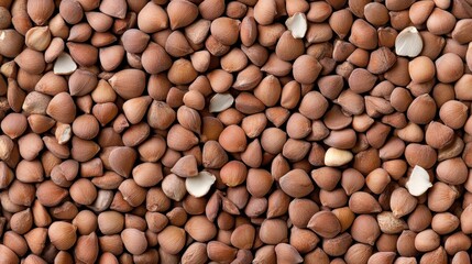 Canvas Print - Close-up of raw hazelnuts with shells and broken pieces