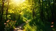 © kavalin - A Sunlit Path Through A Lush Forest Canopy, With Delicate Flowers Blooming Along The Edges