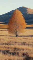 Wall Mural - Lone golden autumn tree in vast field, mountain backdrop.