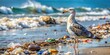 © Praphunsak - A lone seagull stands amidst a sea of discarded plastic waste on a beach