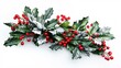 © Nathan - A festive arrangement of holly leaves and bright red berries dusted with snow, perfect for holiday decorations.