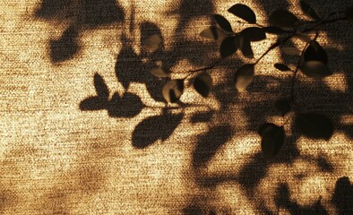 Wall Mural - Sunlight casts leaf shadows on textured fabric.