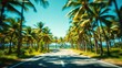 © BokehBox - A winding road through a lush palm tree grove, with a blurred background and a hint of blue ocean in the distance