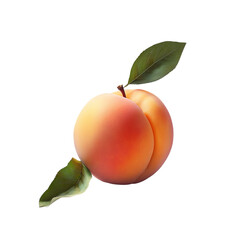 Wall Mural - single peach with leaf, white background, PNG