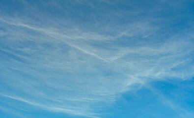 Wall Mural - the sky is full of bright white fluffy clouds, freedom.