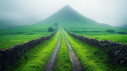 Wall Mural - Misty road to green hill, stone walls, foggy landscape.