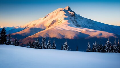 Wall Mural - winter landscape in the mountains