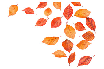 Falling autumn leaves in vibrant orange and red shades create serene scene