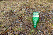 © Chmutphoto - A discarded green plastic bottle on grassy ground with dry leaves and branches.
