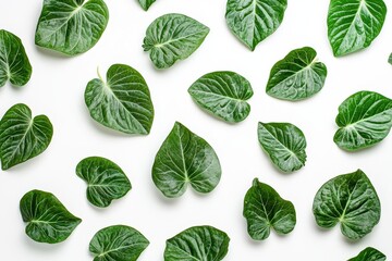 Jiaogulan leaves on a pale backdrop Nutritious food