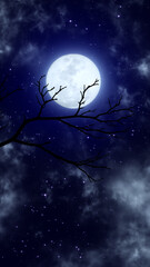 Wall Mural - full moon and tree branch, starry night sky with clouds meditation background,glowing and shiny stars relaxing vertical social media design element	