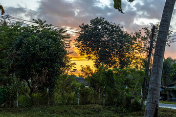 Wall Mural - Background of morning or evening light of colorful sky, road during nature tour, surrounded by clouds and various trees.