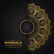 © Md Alamin - Luxury mandala vector illustration on dark background