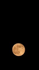 Wall Mural - Time Lapse Time-lapse Timelapse Of Full Moon Moonrise .