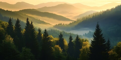 Aufkleber - Majestic mountains of the Beskydy region feature lush forests and towering trees, showcasing the wild beauty of nature. Explore the enchanting wild landscapes among the trees in these mountains.