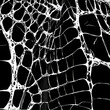 © MdRiad - Black & White Alligator Skin Pattern