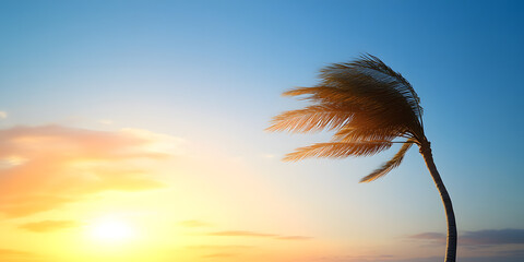 Wall Mural - Palm tree bending in the wind during a vibrant sunset. A tropical scene of serene beauty and nature's power.