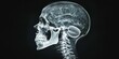 © ConceptStudio - Skull is shown in a black and white photo