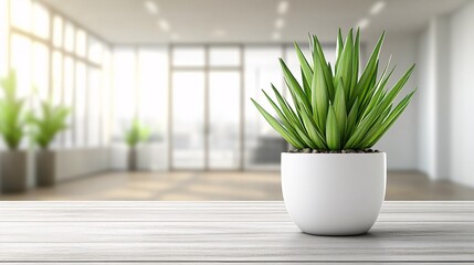 Wall Mural - Green potted plant on a wooden table in a bright modern indoor environment