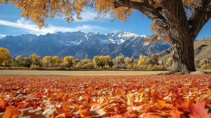 Wall Mural - Autumnal Mountain Landscape