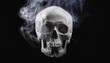 © GeorgV - Symbolic X-ray Skull Silhouette Emerging from White Smoke
