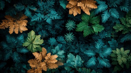 Wall Mural - Colorful forest canopy.