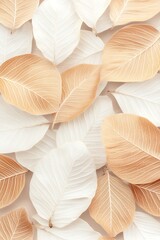 Canvas Print - Close-up of beige and white leaves arranged aesthetically.