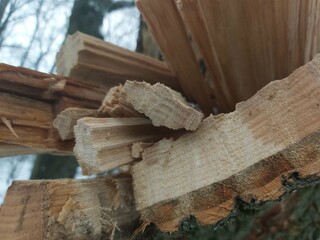 stack of firewood