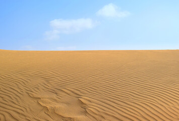 sand dunes in the desert