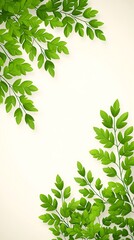 Canvas Print - Lush green leaves frame on white background. (1)