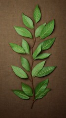 Canvas Print - Lush green branch with leaves on brown fabric background.