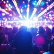 crowd at concert - summer music festival