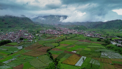 Aerial view of vegetables plantations with mountain on background of Dieng central java. Drone view of agriculture with fogs and mountains. 