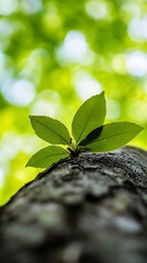 Aufkleber - Vibrant Green Leaves Emerging from Tree Trunk Against Blurred Sunlit Background : Generative AI