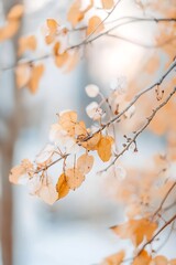 Poster - Delicate Autumn Leaves on Branch with Soft Background in Warm Natural Light : Generative AI