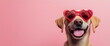 © W.O.W - Happy dog ​​in pink heart-shaped glasses on pink isolated background. Valentine's Day love concept. Banner, advertisement, billboard for animal shelter, veterinary clinic