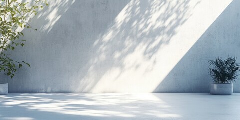 Aufkleber - Minimalist Interior Scene with Leaf Shadows on White Background