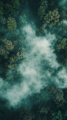 Poster - Misty Forest: An Aerial View of Serene Nature