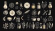 © nattaya - A vector set of magical witchcraft symbols, including spell circles, potions, and enchanted herbs, handdrawn with fine lines, perfect for card designs and tattoos