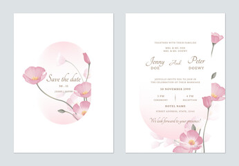 Wall Mural - Save the date and wedding invitation template set of delicate pink California Poppy flowers on a white background, creating a delicate and romantic feel
