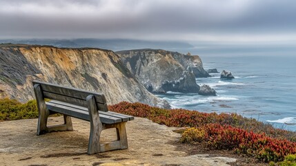 beautiful coastline landscape