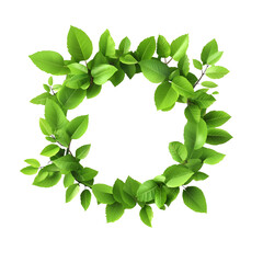 Wall Mural - green leaves arranged in a circular pattern, white isolate background.