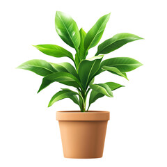 Wall Mural - elegant green plant in a terracotta pot on a white isolated background.