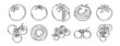 © Yanka - Tomato vegetable sketch doodle hand drawn icon set. Outline drawing fresh tomato line clipart symbol