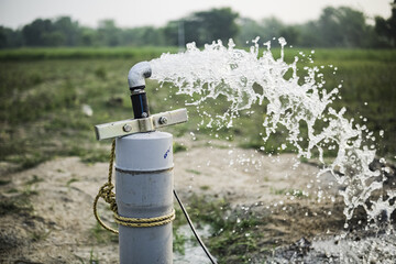 water sprinkler in a field