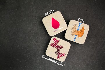 Three hormone systems. The first three of those hormones ie ACTH, gonadotropins, and TSH. Adrenocorticotropic hormone. Thyroid-stimulating hormone.