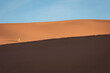 © Cavan - Erg Chebbi moroccan desert with blue sky