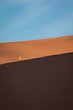 © Cavan - Erg Chebbi Sand Dunes of Morocco