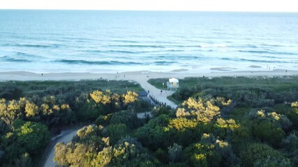 Wall Mural - Aerial footage of a walkway passing through dense green vegetation in a seaside park at sunset