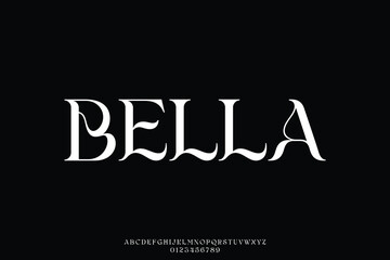 Wall Mural - unique elegant decorative serif alphabet display font vector illustration